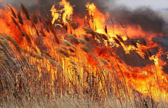 В Україні оголосили надзвичайний рівень пожежної небезпеки