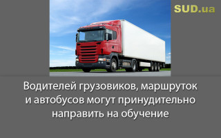Водителей грузовиков, маршруток и автобусов могут принудительно направить на  обучение
