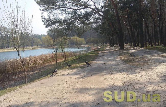 В Киеве возле метро появится парк