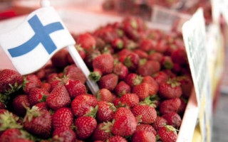 Одна из стран ЕС запретила въезд сезонным рабочим из Украины