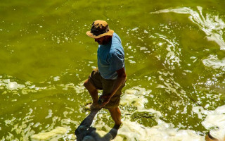 Под Одессой озеро зацвело ядовитыми водорослями