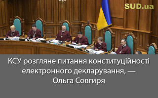 КСУ розгляне питання конституційності електронного декларування, — Ольга Совгиря