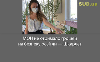 МОН не отримало грошей на безпеку освітян — Шкарлет