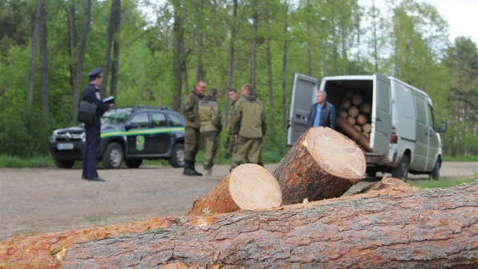 У Києві судитимуть «чорних лісорубів»