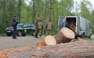 У Києві судитимуть «чорних лісорубів»