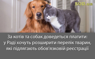 За котів та собак доведеться платити: у Раді хочуть розширити перелік тварин, які підлягають обов’язковій реєстрації