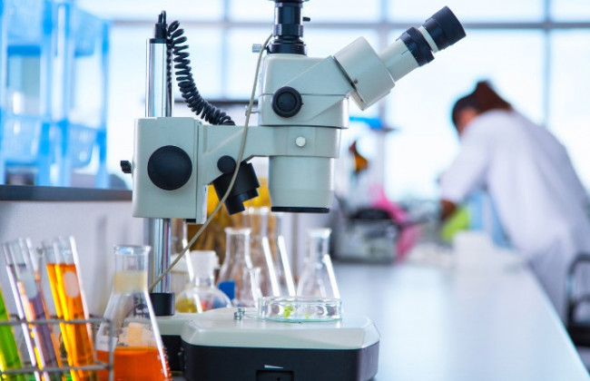 Рада внесла зміни  до Закону «Про наукову і науково-технічну діяльність»: що чекати аспірантам та науковцям