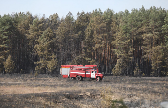 Пожежі на сході країни: десятки людей покинули будинки, їм обіцяють компенсації, фото
