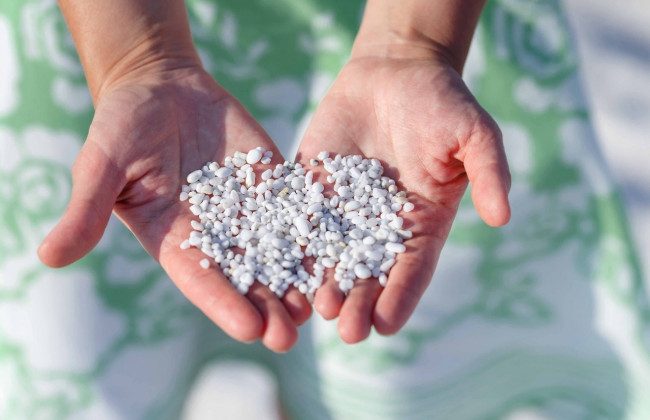 1000 євро штрафу: француз намагався вивезти пісок із Сардинії