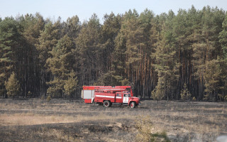 Пожежі на сході країни: десятки людей покинули будинки, їм обіцяють компенсації, фото