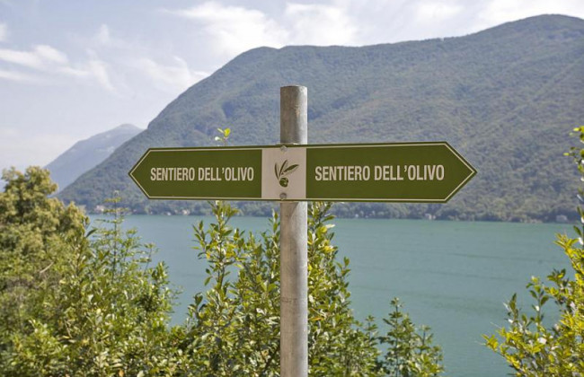 Ще одна країна ввела обов’язковий карантин для українців