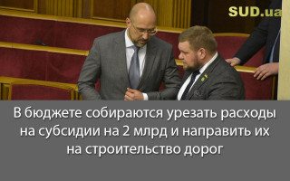 В бюджете собираются урезать расходы на субсидии на 2 млрд и направить их на строительство дорог