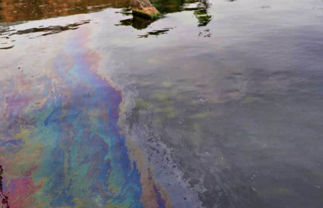 Утечка из танкера Delfi: нефтяная пленка достигла пляжа, фото и видео