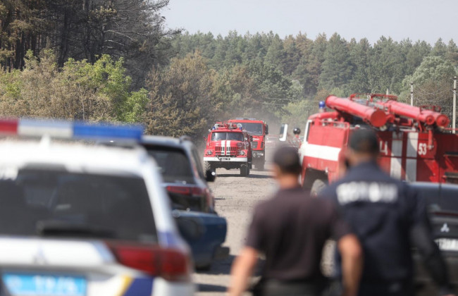 В Донецкой области пожар из сухой травы перебросился на дома