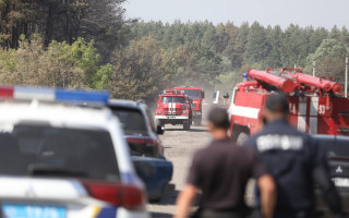 В Донецкой области пожар из сухой травы перебросился на дома