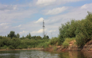 В реке неподалеку от Киева обнаружили редкого хищника: что известно