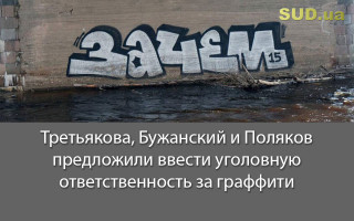 Третьякова, Бужанский и Поляков предложили ввести уголовную ответственность за граффити