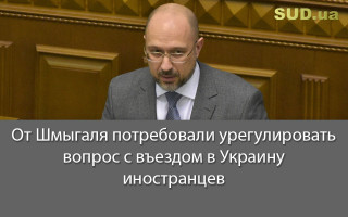 От Шмыгаля потребовали урегулировать вопрос со въездом в Украину иностранцев