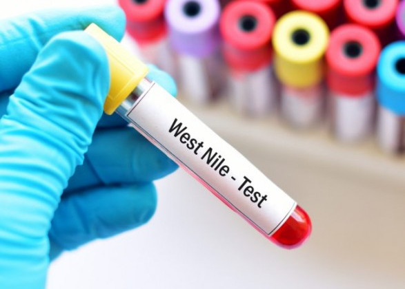 На Полтавщині виявлено спалах інфікування рідкісною лихоманкою