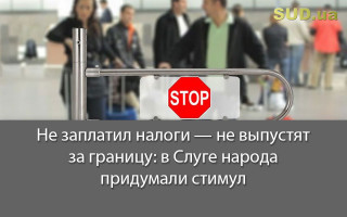 Не заплатил налоги — не выпустят за границу: в Слуге народа придумали стимул