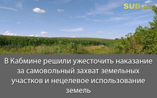 В Кабмине решили ужесточить наказание за самовольный захват земельных участков и нецелевое использование земель