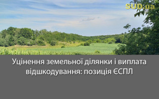 Уцінення земельної ділянки і виплата відшкодування: позиція ЄСПЛ