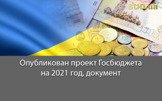 Опубликован проект Госбюджета на 2021 год, документ