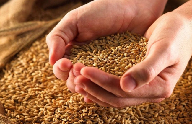 Названо трійку найбільш експортованих товарів України