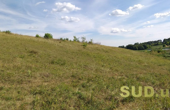 Порядок приватизації земельної ділянки: що потрібно знати