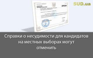 Справки о  несудимости для кандидатов на местных выборах могут отменить