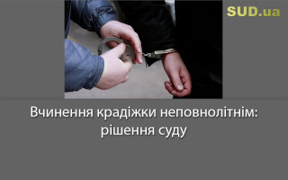 Вчинення крадіжки неповнолітнім: рішення суду