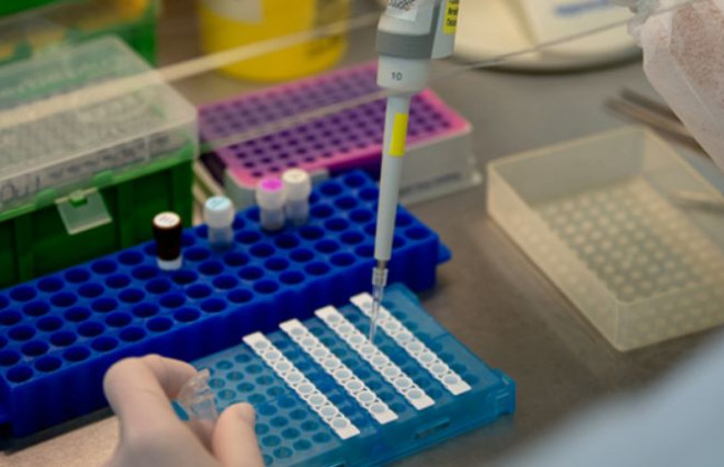 Майже 3 000 нових випадків: у МОЗ повідомили кількість інфікованих COVID-19