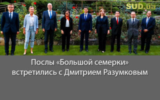 Послы «Большой семерки» встретились с Дмитрием Разумковым