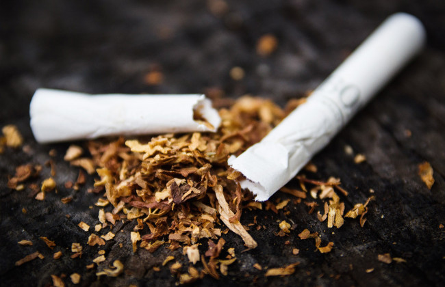 Нелегальная табачная фабрика: в Польше задержали 12 украинцев