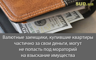 Валютные заемщики, купившие квартиры частично за свои деньги, могут не попасть под мораторий на взыскание имущества
