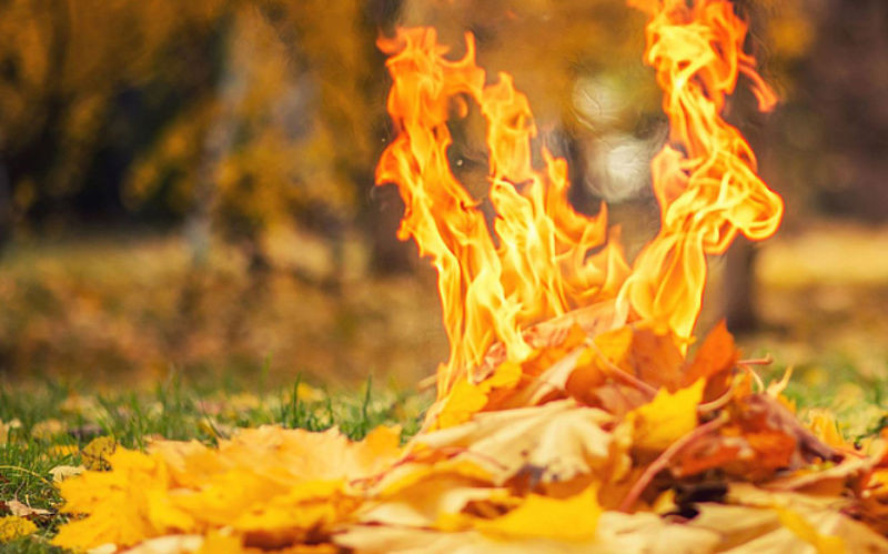 Куди звертитися, коли сусід спалює листя: інфографіка