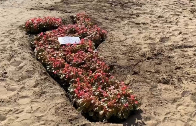 У Києві з’явилися незвичайні клумби у формі ступні: фото