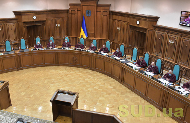 Судья КСУ спросил Третьякову, сколько бюджетных денег уйдет на реализацию ее идеи о переезде Суда