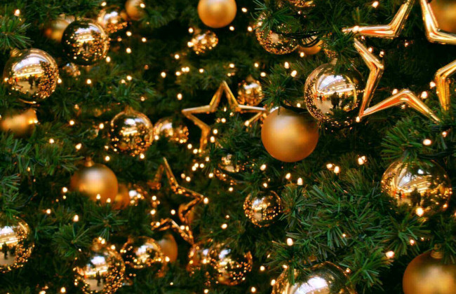 Зима близько: стало відомо, якою буде головна ялинка країни, фото