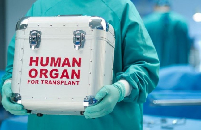 Координировать трансплантацию органов будет новое госучреждение