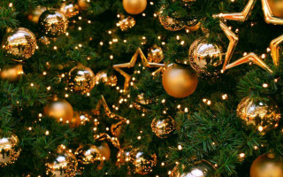 Зима близько: стало відомо, якою буде головна ялинка країни, фото