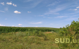 ВС допоміг зберегти земельну ділянку, яка знаходилася у власності громади Бучі