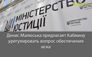Денис Малюська предлагает Кабмину урегулировать вопрос обеспечения иска
