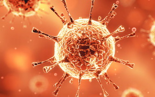 У співробітника Черкаського районного суду Черкаської області виявлено COVID-19