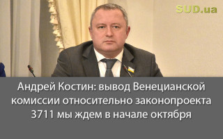 Андрей Костин: вывод Венецианской комиссии относительно законопроекта 3711 мы ждем в начале октября