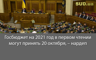 Госбюджет на 2021 год в первом чтении могут принять 20 октября, – нардеп