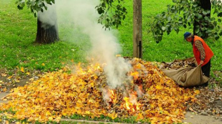 Самовільне спалювання листя та сухої трави: українцям нагадали про штрафи