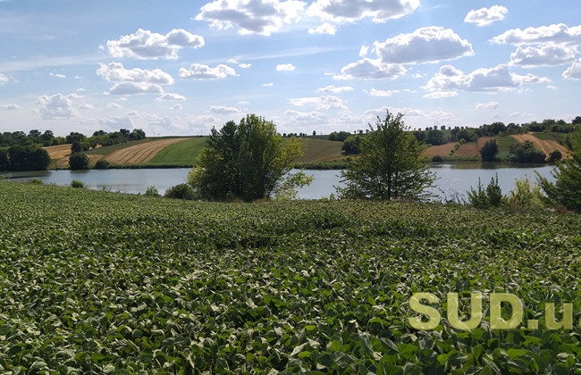 Законопроект №2194 назвали земельною конституцією