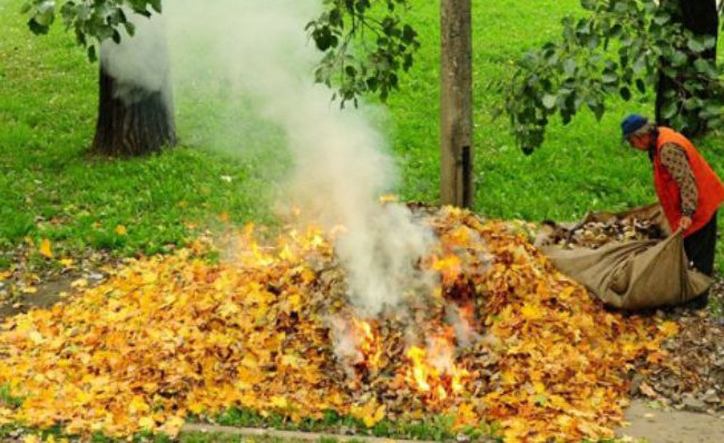Самовільне спалювання листя та сухої трави: українцям нагадали про штрафи
