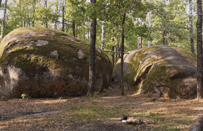 Житель Житомирщини пошкодив український Стоунхендж